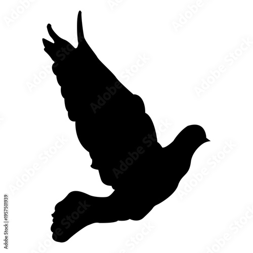 Flying dove sequence