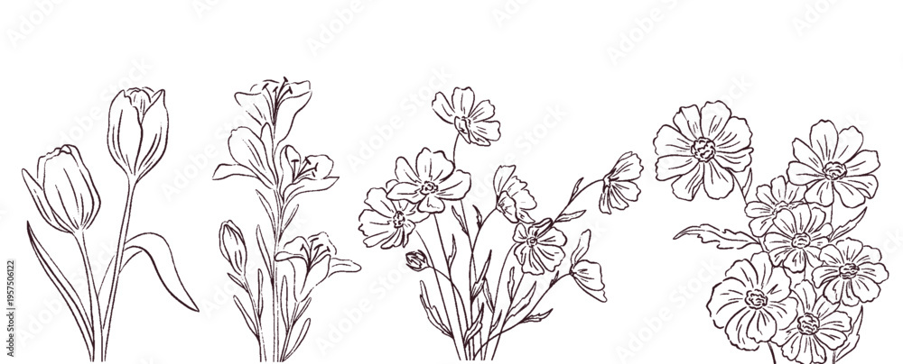 Fototapeta premium Hand drawn brush minimalistic flowers. Charcoal or chalk floral line art. Sketch silhouette floral plant, wildflowers in wax crayon naive style. Vector simple flower, pencil, crayon style elements