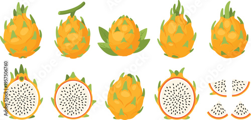 Dragon Fruit Pitaya Vector Set with Whole Sliced and Halved Tropical Fruits Isolated on White Background for Healthy Food Design Projects