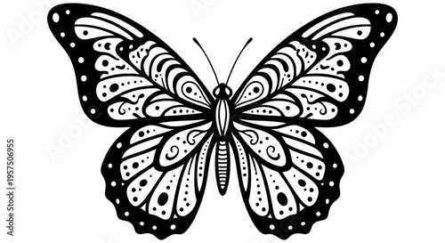 Beautiful butterfly with intricate patterns and designs on its wings spread wide open
