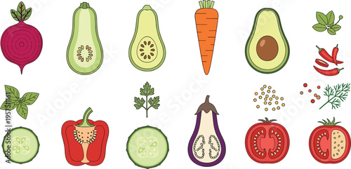 Fresh Vegetable Cross Section Icon Set with Beetroot, Avocado, Carrot, Tomato, Bell Pepper, Eggplant, and Chili for Healthy Cooking and Food Education Designs