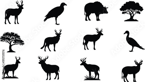 Silhouette of various animals and trees isolated on transparent background