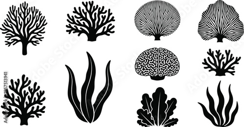 Collection of various coral reef silhouettes
