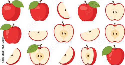 Large Set of Fresh Red Apple Vector Illustrations Featuring Whole Fruit with Green Leaves, Half Sections with Seeds, and Sliced Wedges for Healthy Food Branding