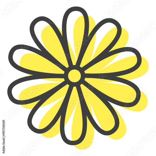 Flower inflorescence margarite