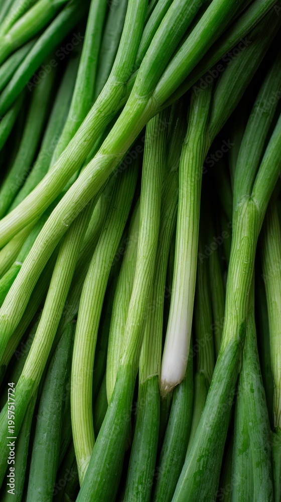 Obraz premium Fresh green onions arranged beautifully, showcasing vibrant colors.