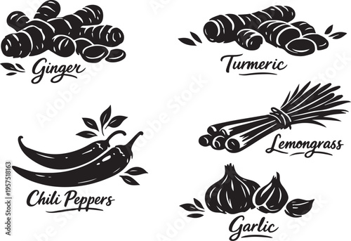  Artistic hand-drawn collection of essential fresh culinary spices ginger, turmeric, lemongrass, chili peppers, and garlic, ideal for healthy food and recipe silhouette vector