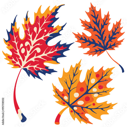 Set of three different maple leaves, autumn style. isolated on White Background