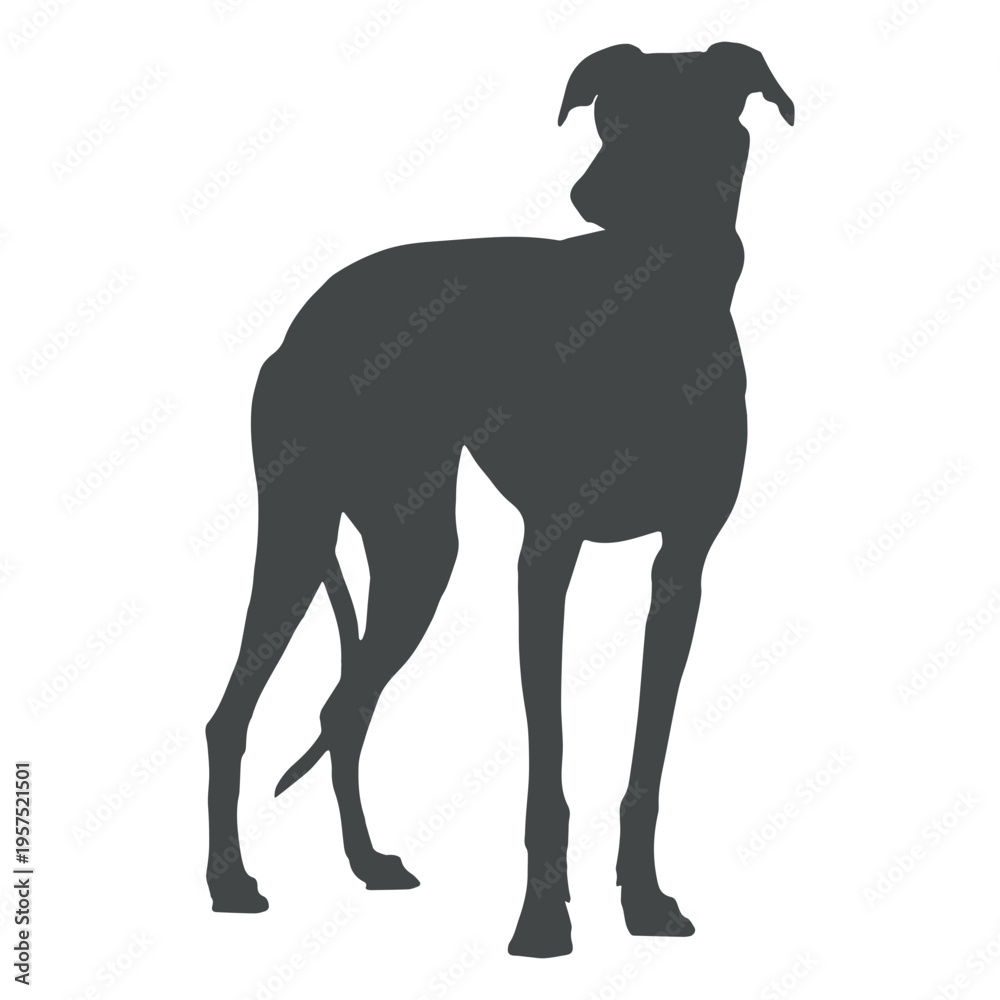 Fototapeta premium Big dog silhouette posing
