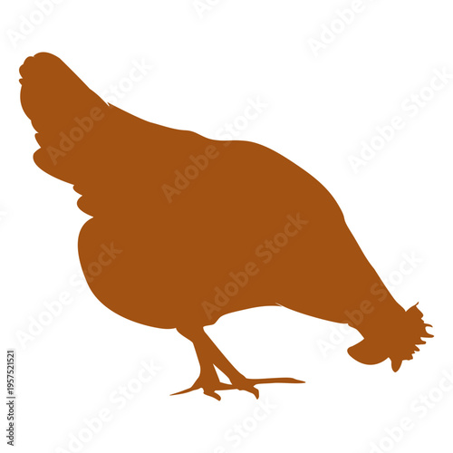Chicken eating silhouette