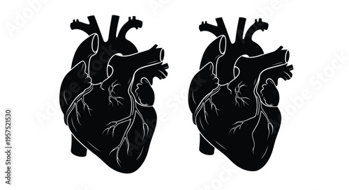 Two detailed black silhouettes of human hearts with visible vasculature