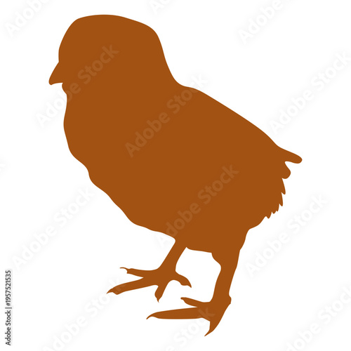 Young chicken silhouette