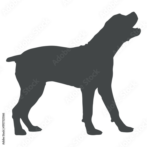 Dog silhouette howling