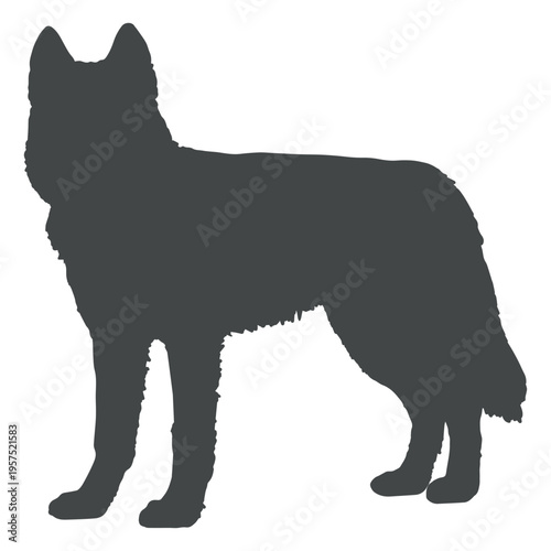 Dog silhouette posing ears up