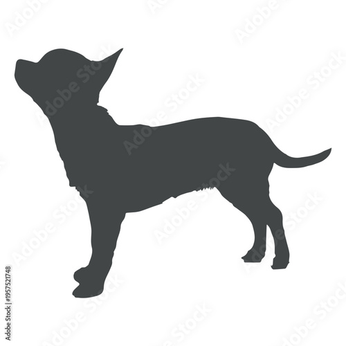 Puppy silhouette posing howling