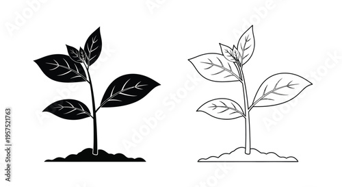 Two stylized plant sprouts in black and white side by side