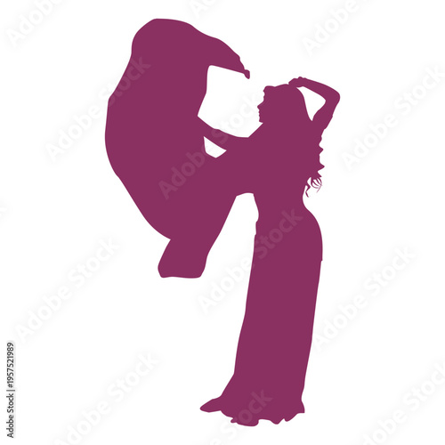 Belly dancer veil silhouette