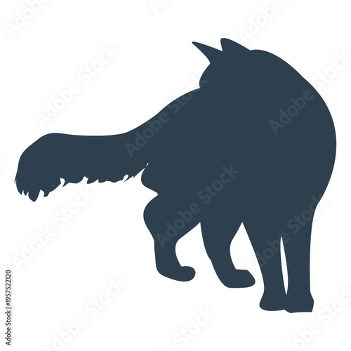 Fluffy tail cat silhouette