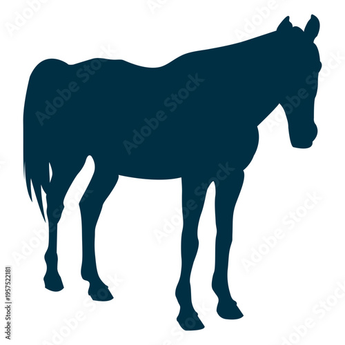 Horse still silhouette