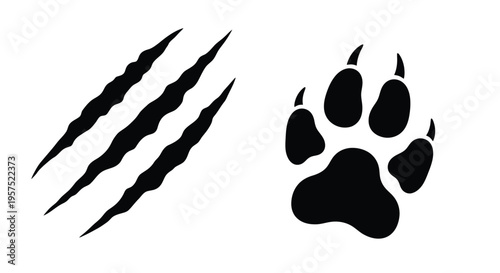Black silhouette of bear claws and a single paw print