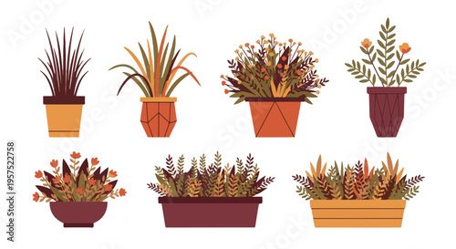 Flat vector illustration set of various potted plants and flowers