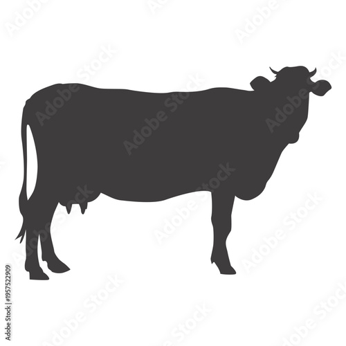 Cow standing silhouette