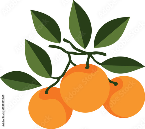 Orange fruit set elements collection flower leaves branch stones citrus nature food design