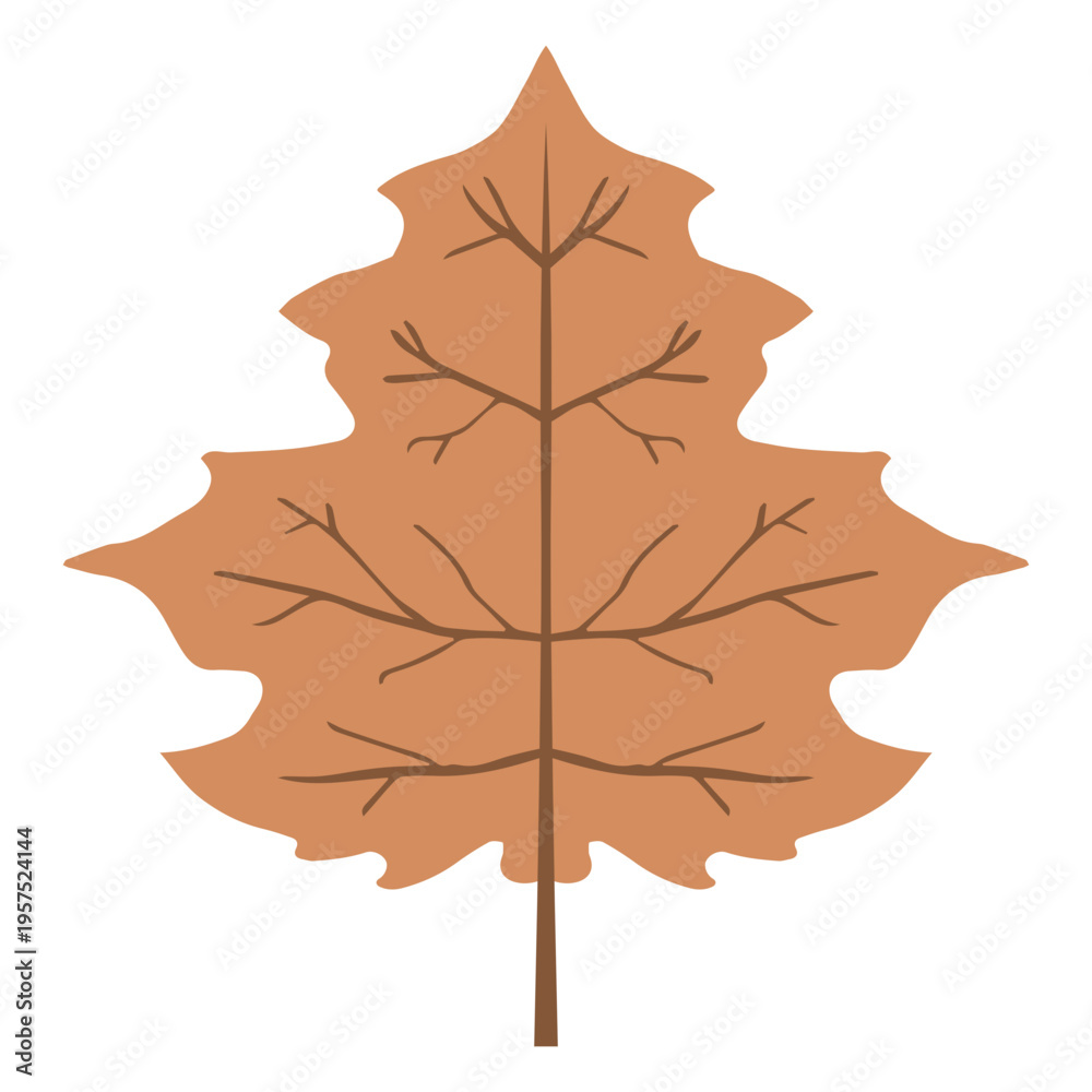 Fototapeta premium Isolated brown autumn leaf