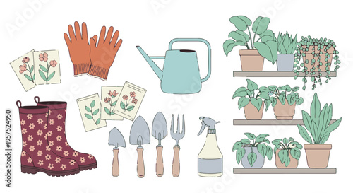 Gardening essentials, tools, and potted houseplants on shelves