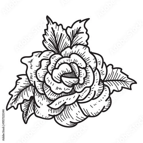 Blooming rose head sketch icon