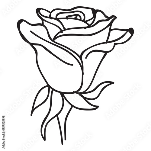 Blooming rose head stroke icon flower