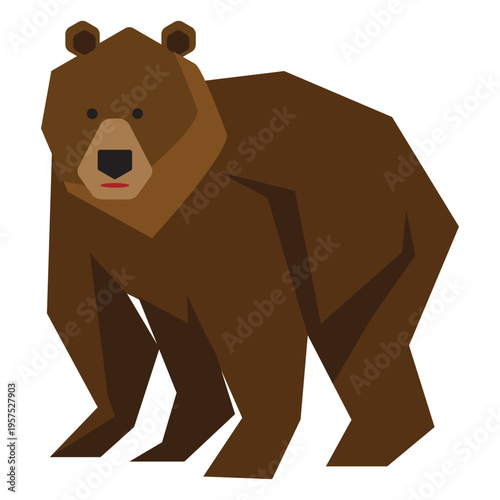 Elder brown bear illustration