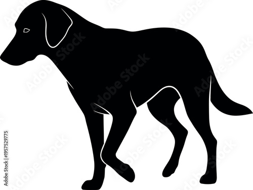 Black dog silhouette walking right white