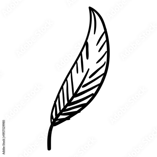 Plant leaf hippie doodle