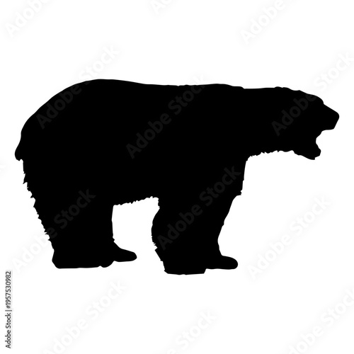 Bear howling silhouette