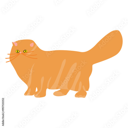 Pet cat illustration