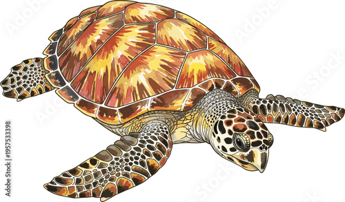 Obraz na plátně Detailed Sea Turtle Vector Illustration Featuring Intricate Mosaic Shell Pattern