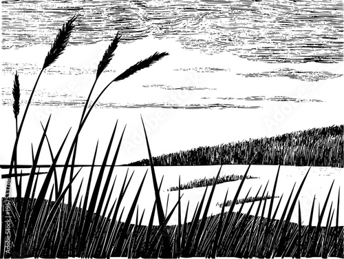 Black and white ink of tall grass reeds by a lake under a textured sky water