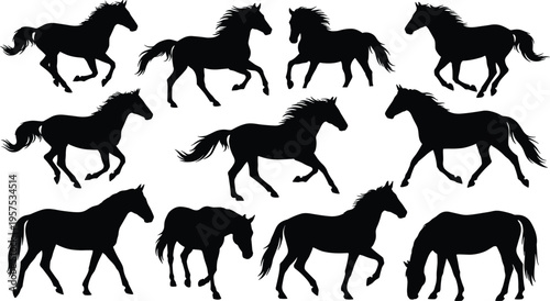 Black horse silhouettes set featuring wild stallions running galloping walking and grazing isolated on white background for equine vector design elements