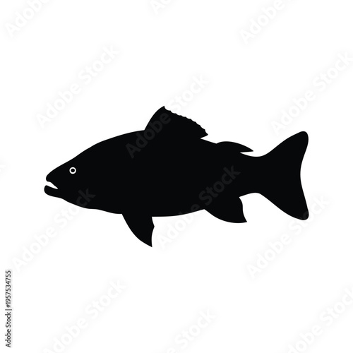 Black and white fish silhouette vector illustration with detailed fins and tail, fish resting at bottom silhouette vector illustration