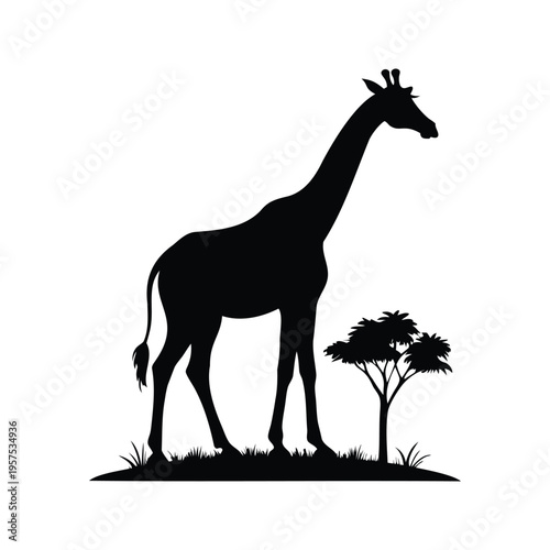 silhouette of a giraffe with trees and grass in a natural habitat silhouette vector illustration, giraffe in savanna scene silhouette vector illustration
