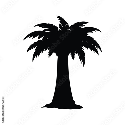Silhouette of a palm tree with detailed leaves and trunk, vector illustration, jungle tree trunk silhouette vector illustration
