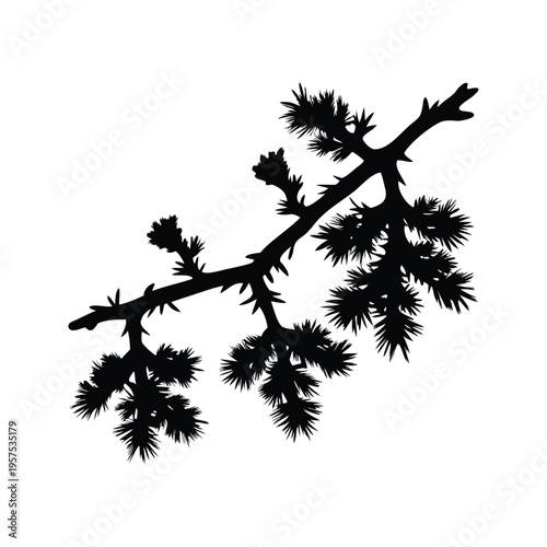 black and white pine branch with needles silhouette vector illustration, larch branch silhouette vector illustration