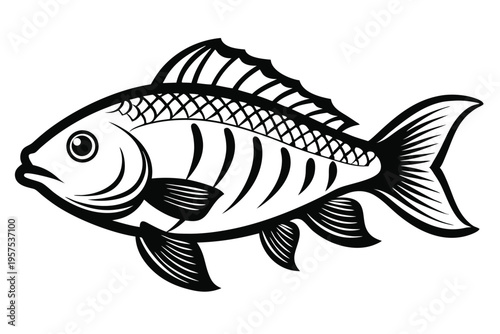 tilapia silhouette line art vector illustration