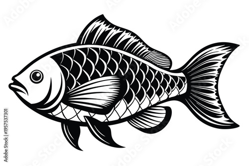 tilapia silhouette line art vector illustration