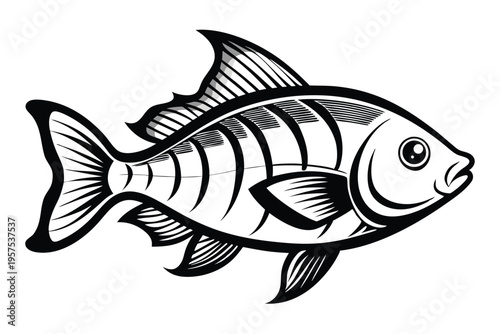 tilapia silhouette line art vector illustration