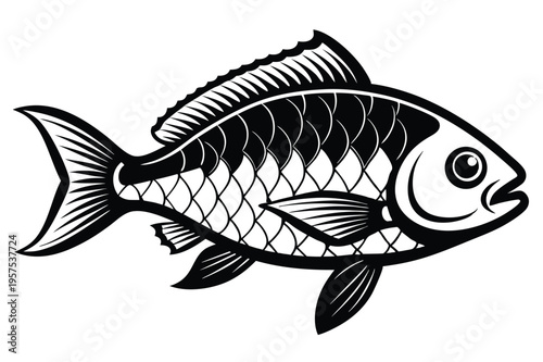 tilapia silhouette line art vector illustration