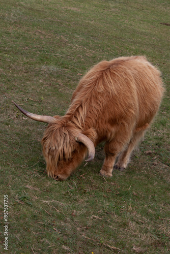 Region Teutoburger Wald