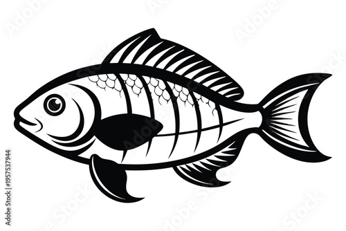 tilapia silhouette line art vector illustration