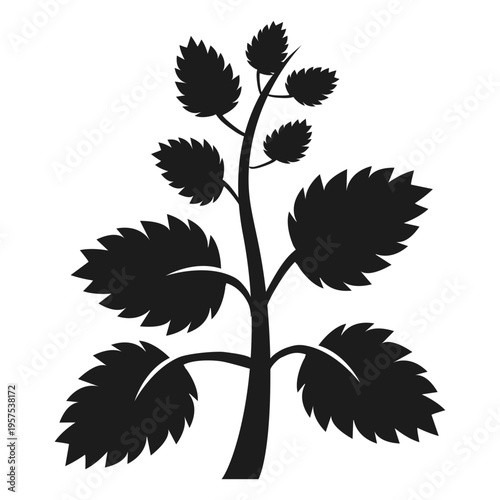 Tree trunk with fan leaves silhouette